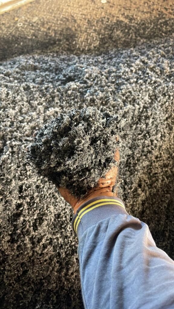 whatsapp image 2024 10 01 at 20.58.41